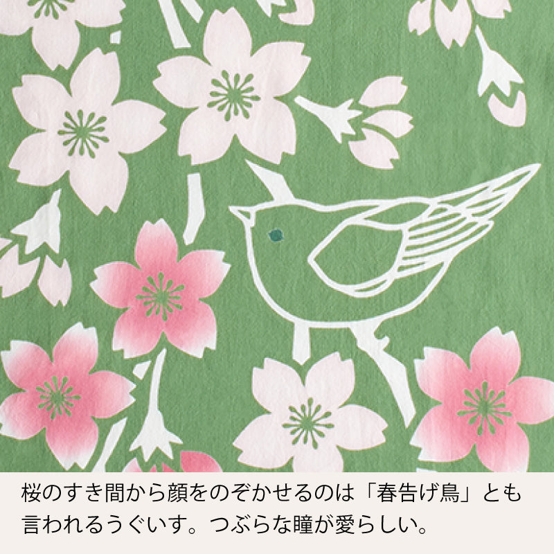 手ぬぐい タペストリ しだれ桜 伝統工芸 四季の雅オリジナル 春の花～桜鴬に扇